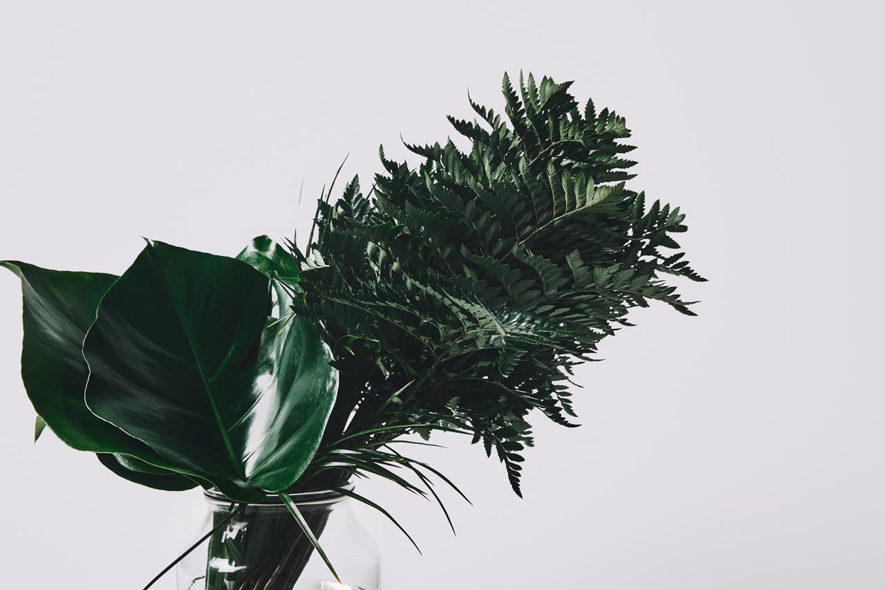 psychologe daniel friedrich berlin